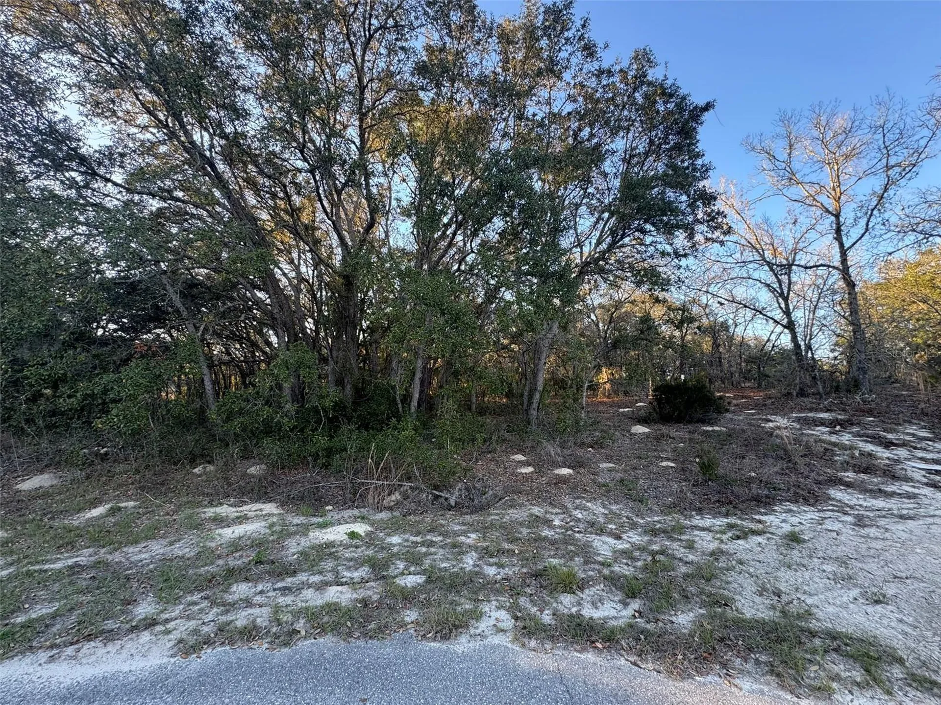 0 SW 147th Street Road Ocala FL 34473