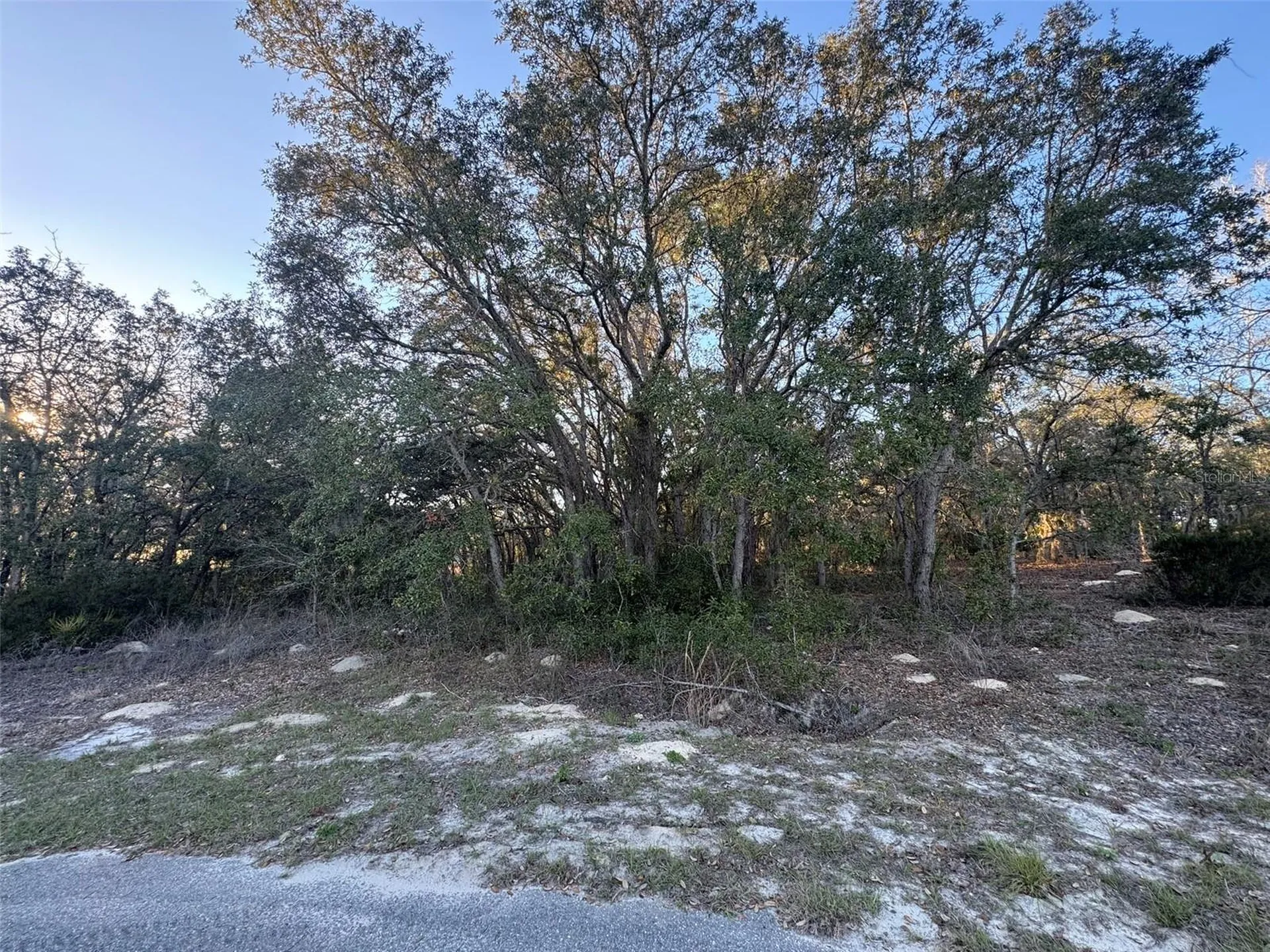 0 SW 147th Street Road Ocala FL 34473