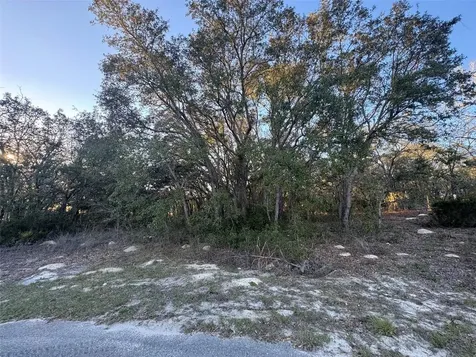 0 SW 147th Street Road Ocala FL 34473