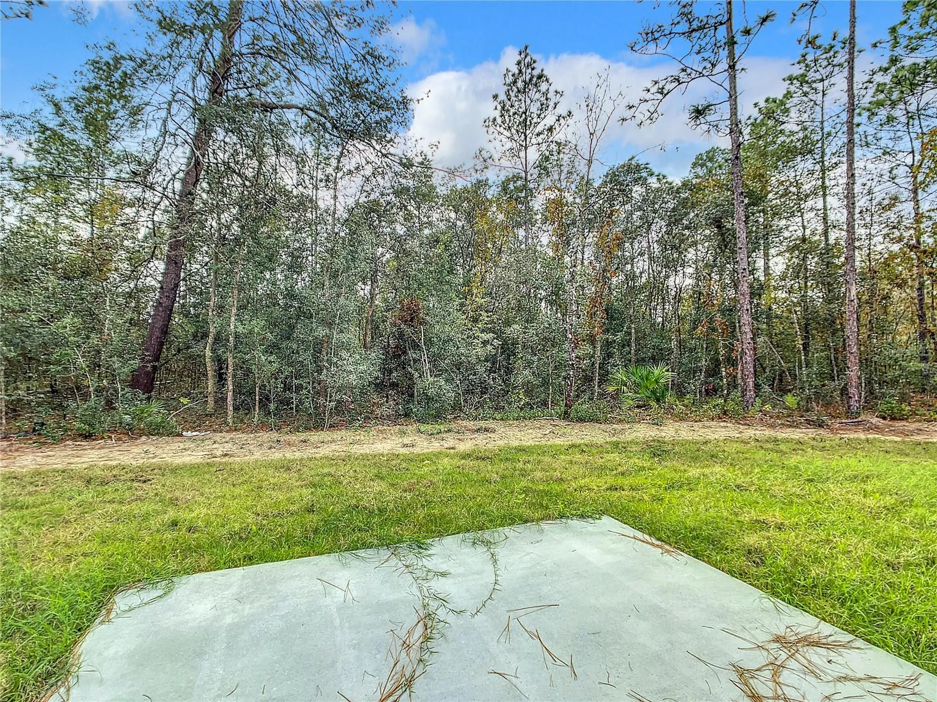 8070 SW 131st Lane Ocala FL 34473