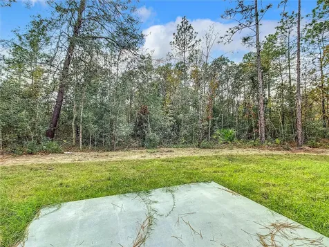 8070 SW 131st Lane Ocala FL 34473