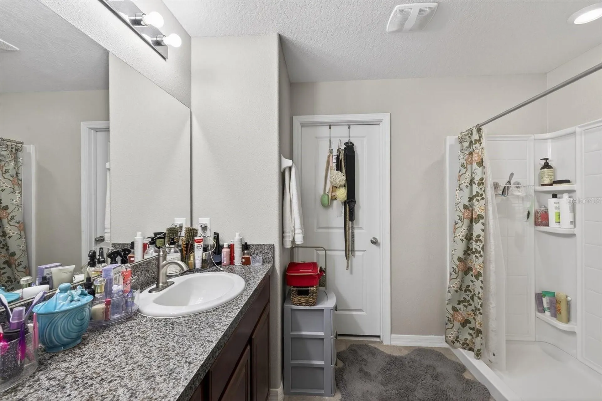 14825 Crescent Rock Drive Wimauma FL 33598