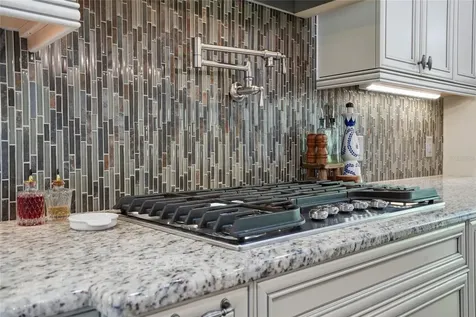 28555 Corbara Place Wesley Chapel FL 33543