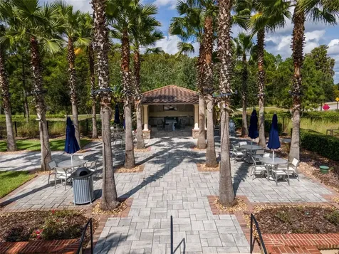28555 Corbara Place Wesley Chapel FL 33543