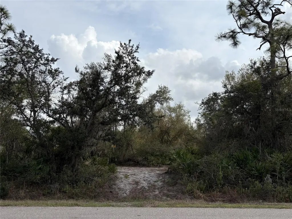 29181 Defiance Avenue Punta Gorda FL 33982