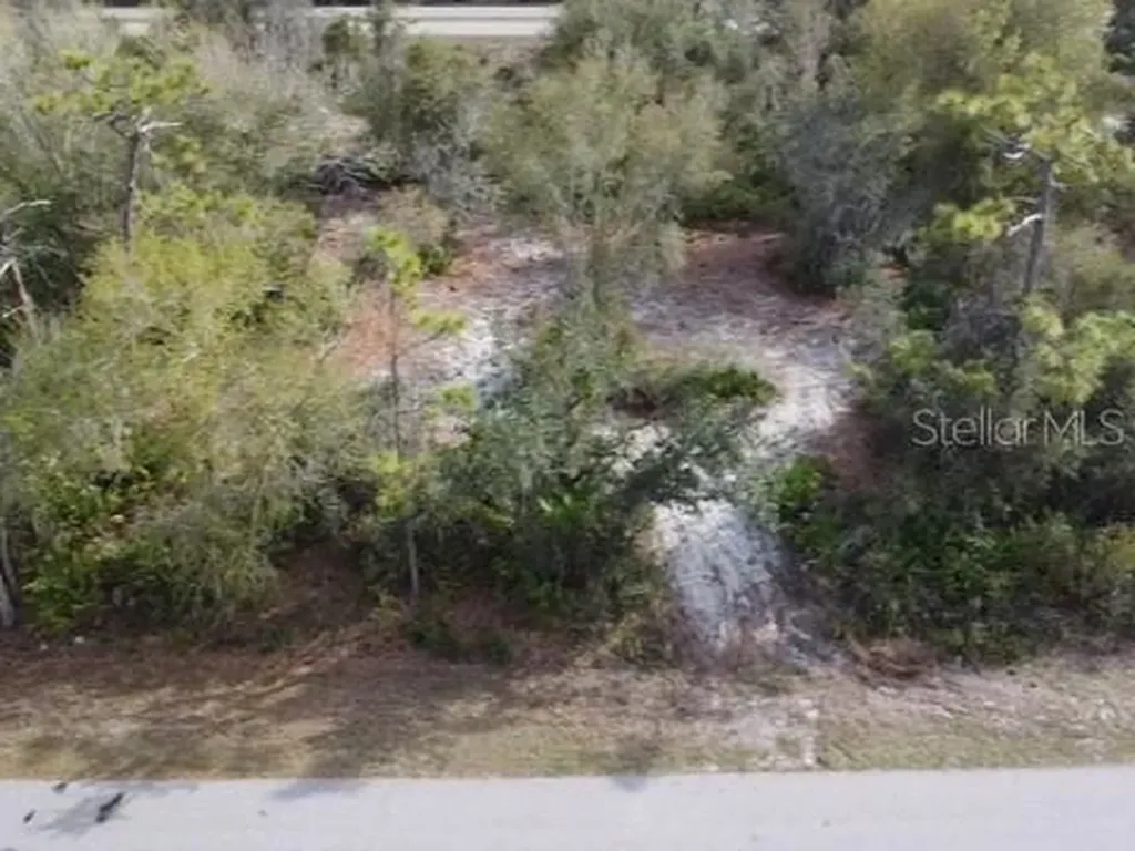 29181 Defiance Avenue Punta Gorda FL 33982