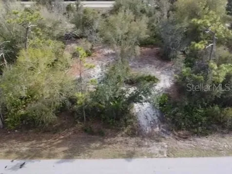 29181 Defiance Avenue Punta Gorda FL 33982