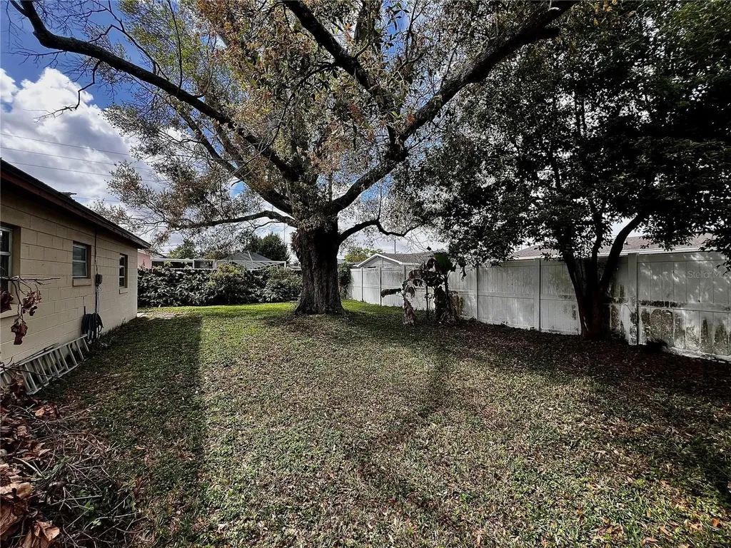 7808 N Woodlynne Avenue Tampa FL 33614