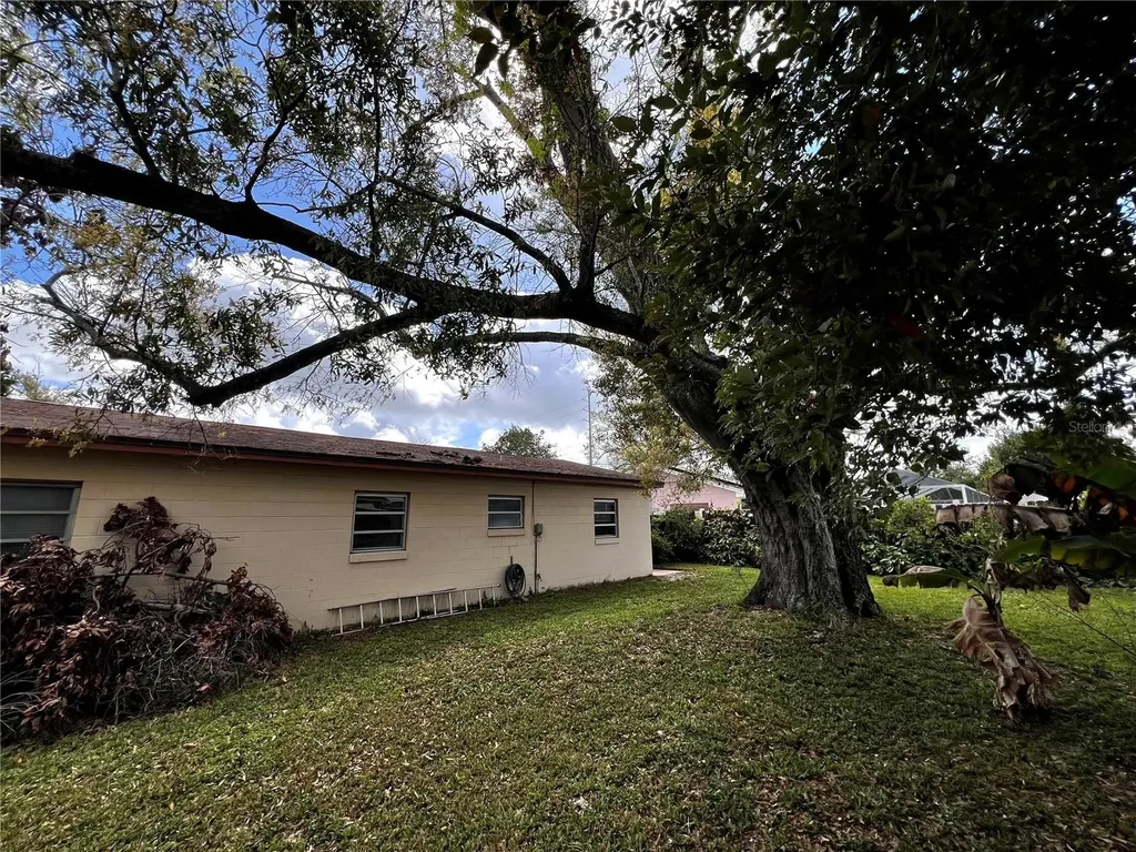 7808 N Woodlynne Avenue Tampa FL 33614