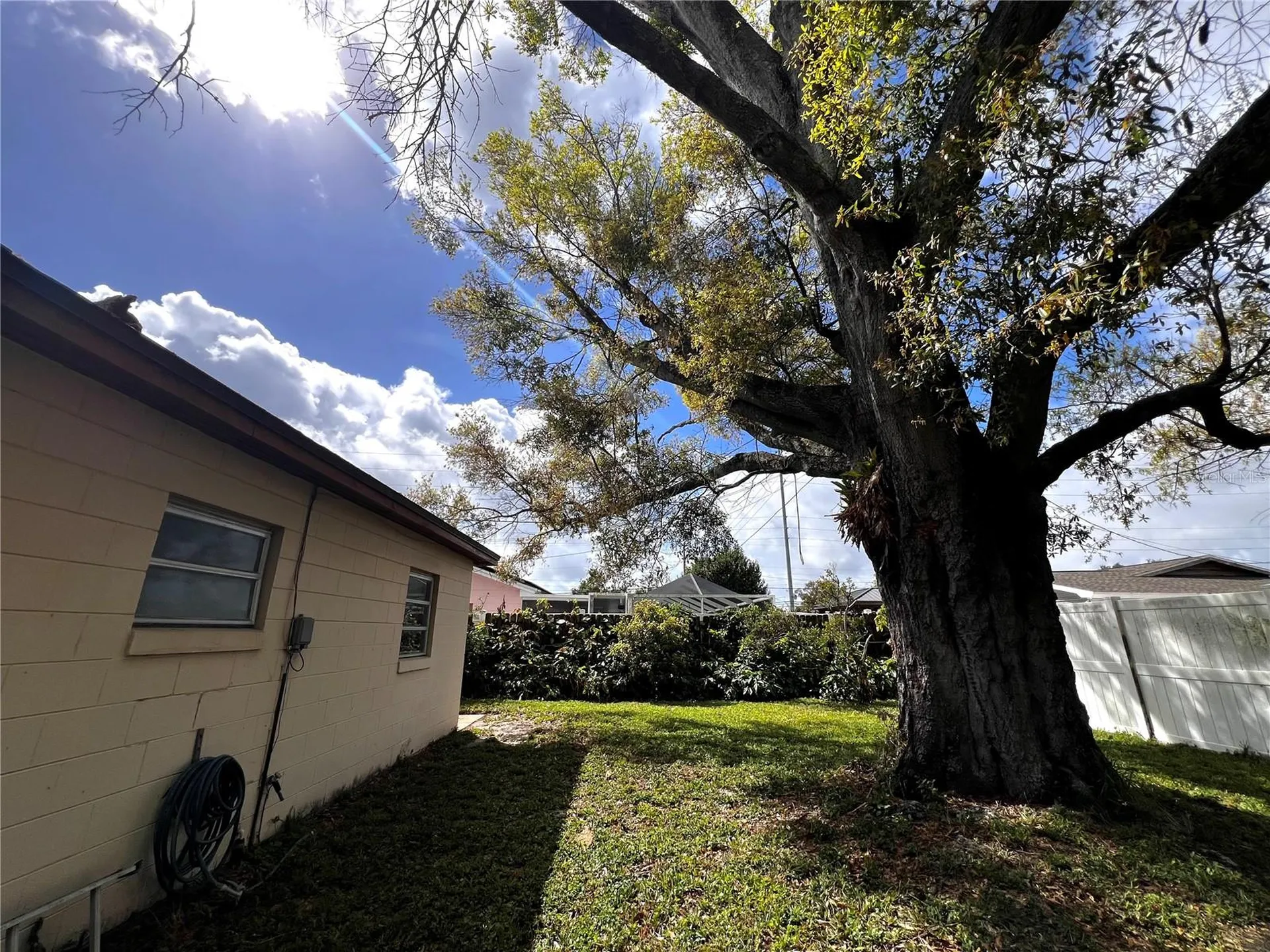 7808 N Woodlynne Avenue Tampa FL 33614