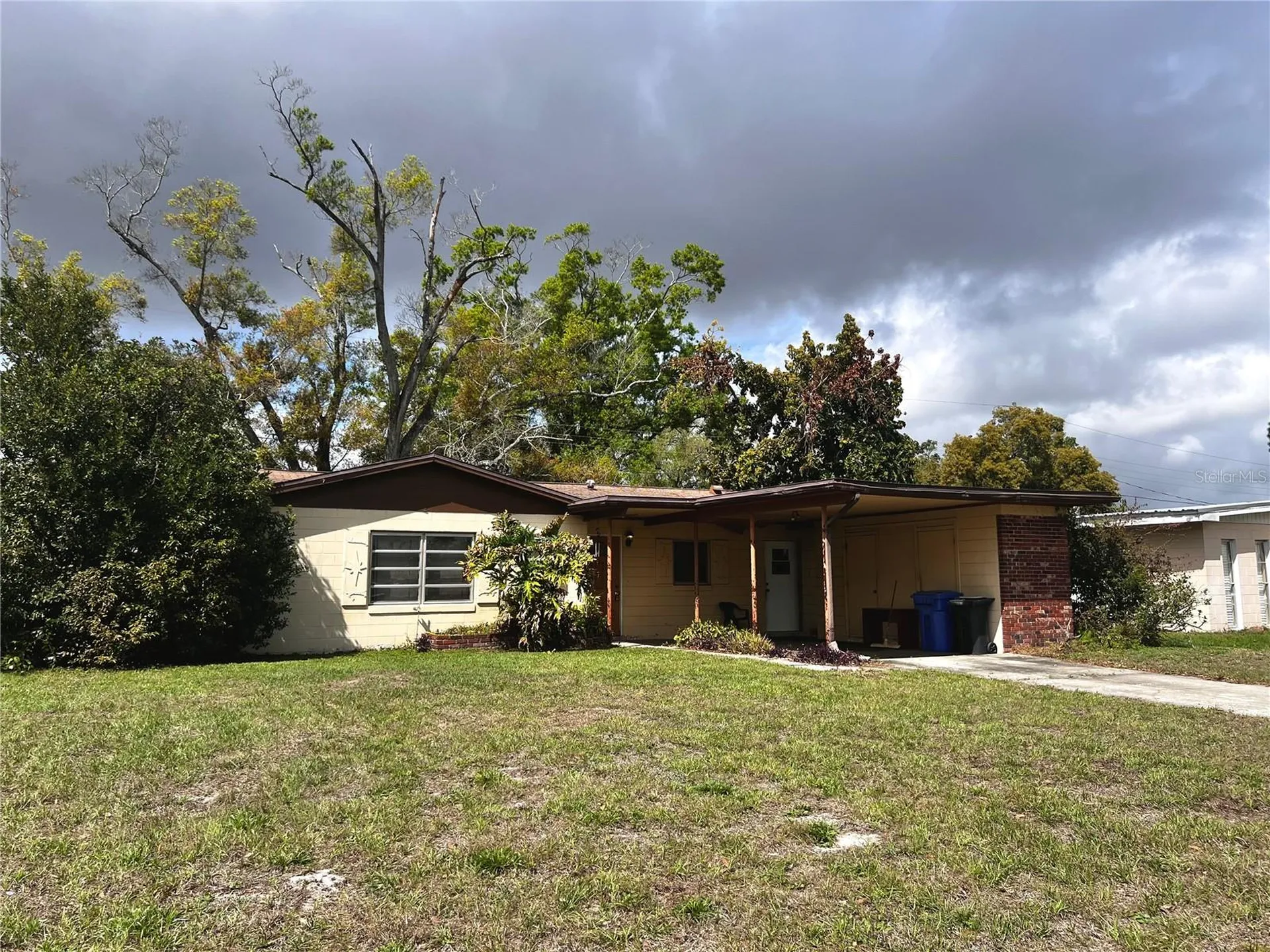 7808 N Woodlynne Avenue Tampa FL 33614