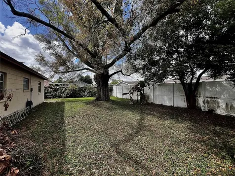 7808 N Woodlynne Avenue Tampa FL 33614