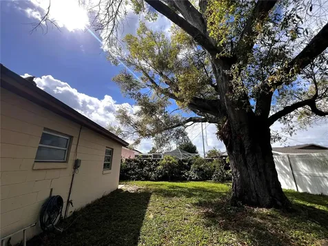 7808 N Woodlynne Avenue Tampa FL 33614