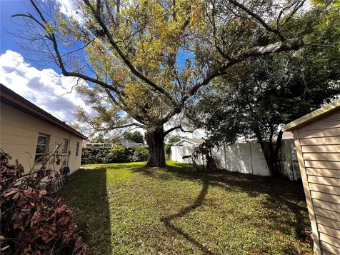 7808 N Woodlynne Avenue Tampa FL 33614