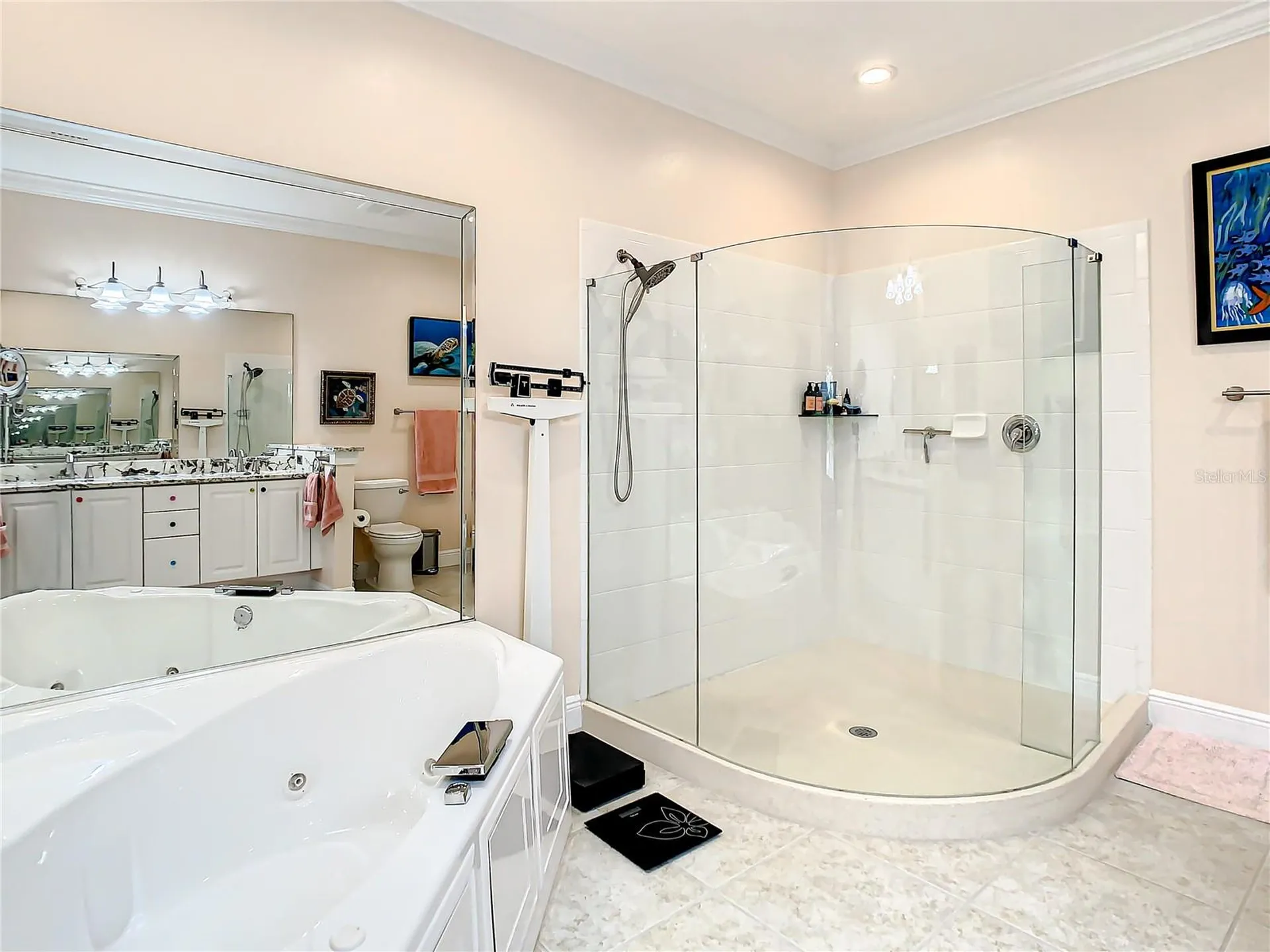 6818 Sombras Way Land O Lakes FL 34637