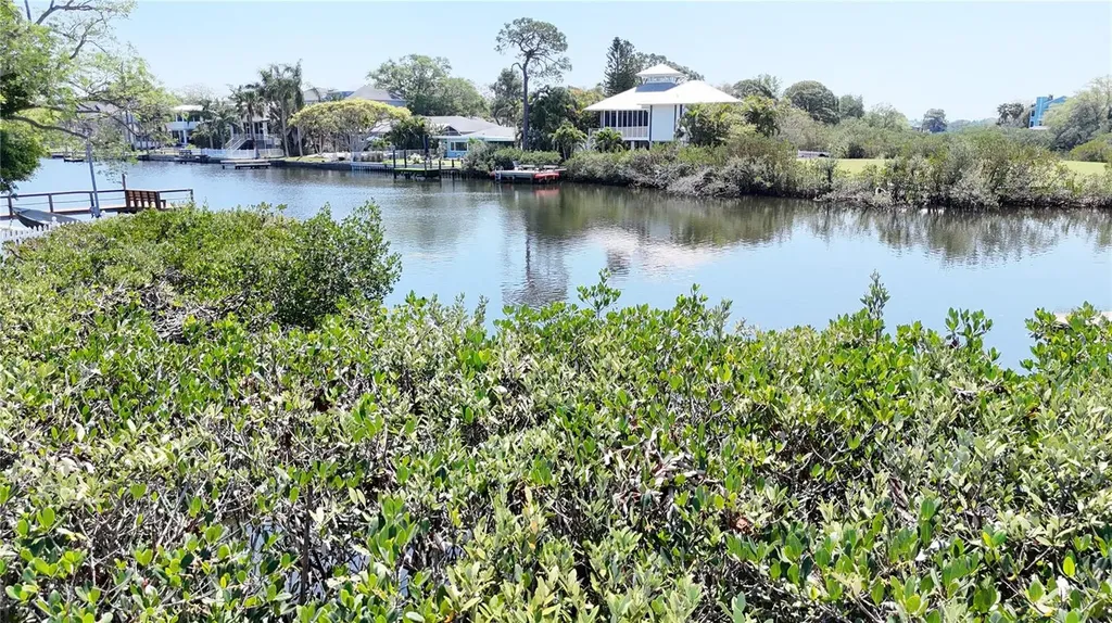 231 Lagoon Drive Palm Harbor FL 34683