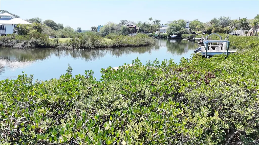 231 Lagoon Drive Palm Harbor FL 34683