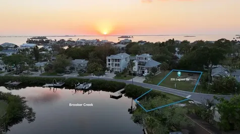 231 Lagoon Drive Palm Harbor FL 34683