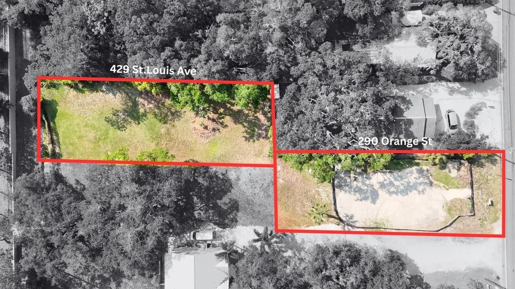 429 St Louis Avenue Palm Harbor FL 34683