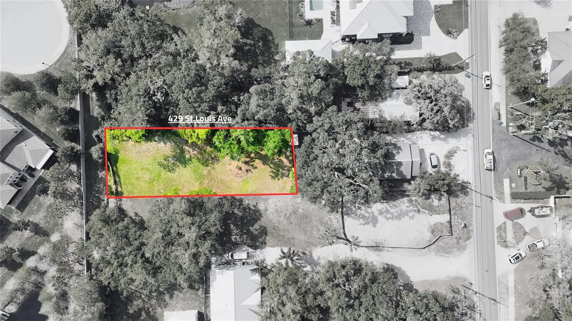 429 St Louis Avenue Palm Harbor FL 34683