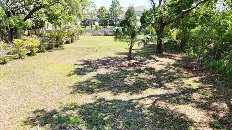 429 St Louis Avenue Palm Harbor FL 34683