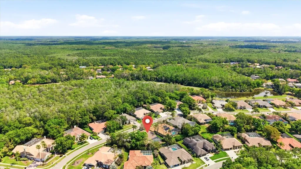 1384 Forestedge Boulevard Oldsmar FL 34677