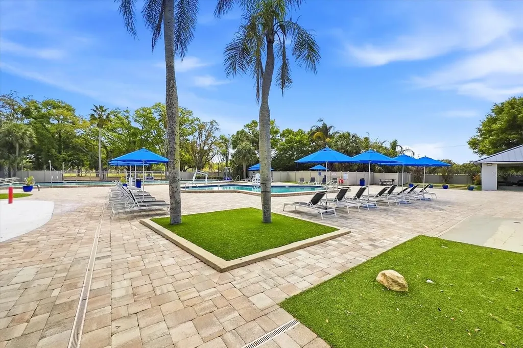 1384 Forestedge Boulevard Oldsmar FL 34677