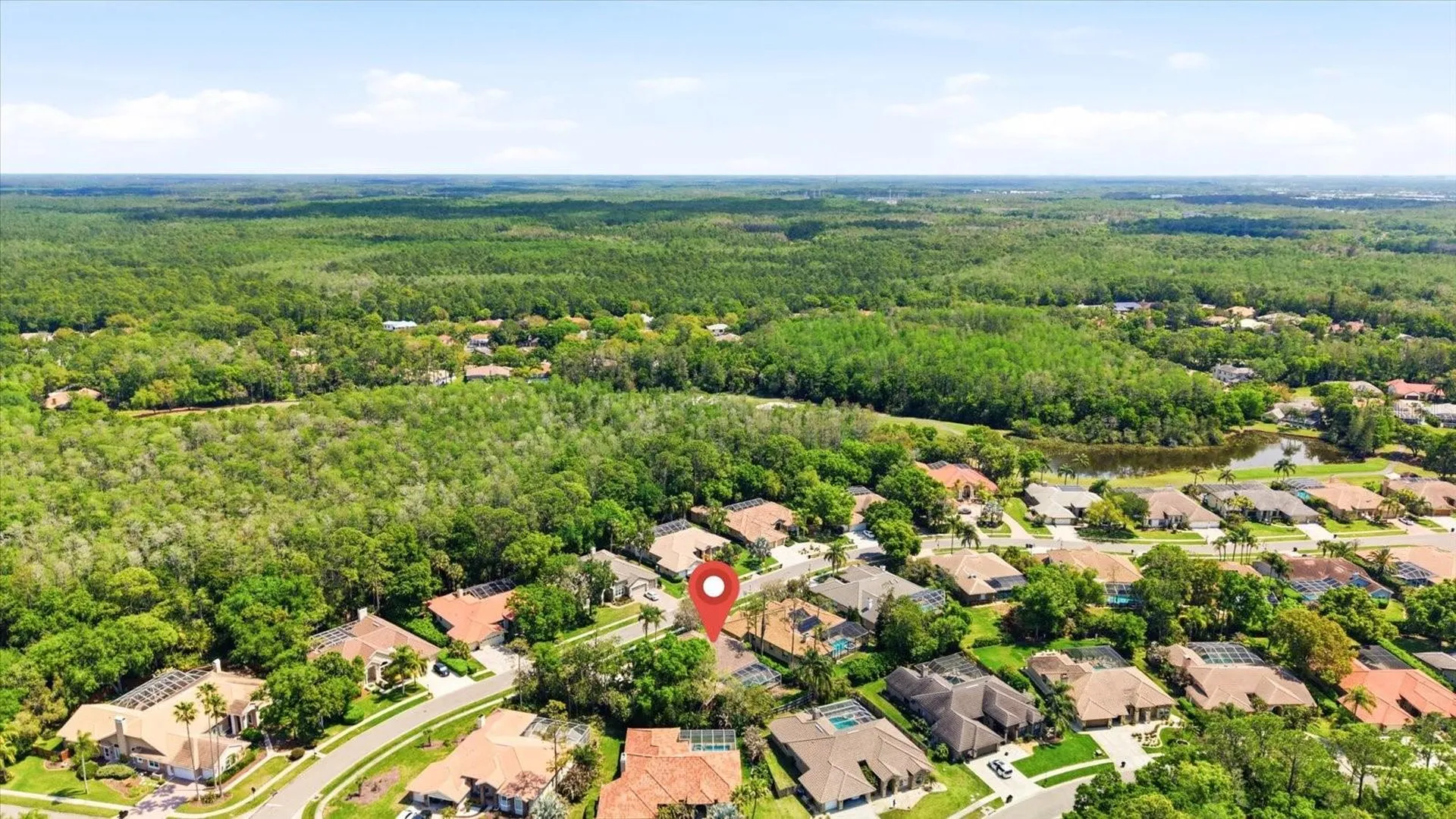 1384 Forestedge Boulevard Oldsmar FL 34677