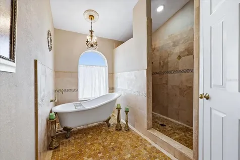 1384 Forestedge Boulevard Oldsmar FL 34677