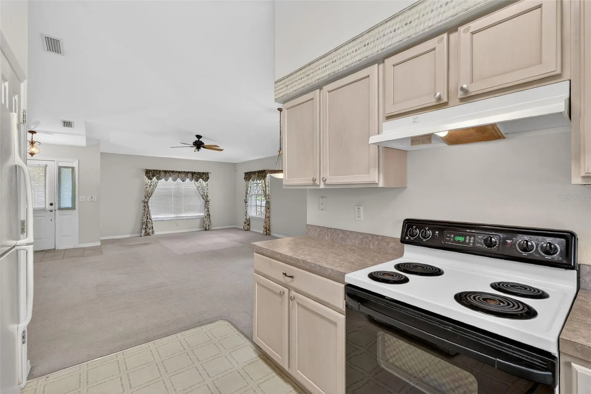 4873 Marsh Harbor Drive Tavares FL 32778