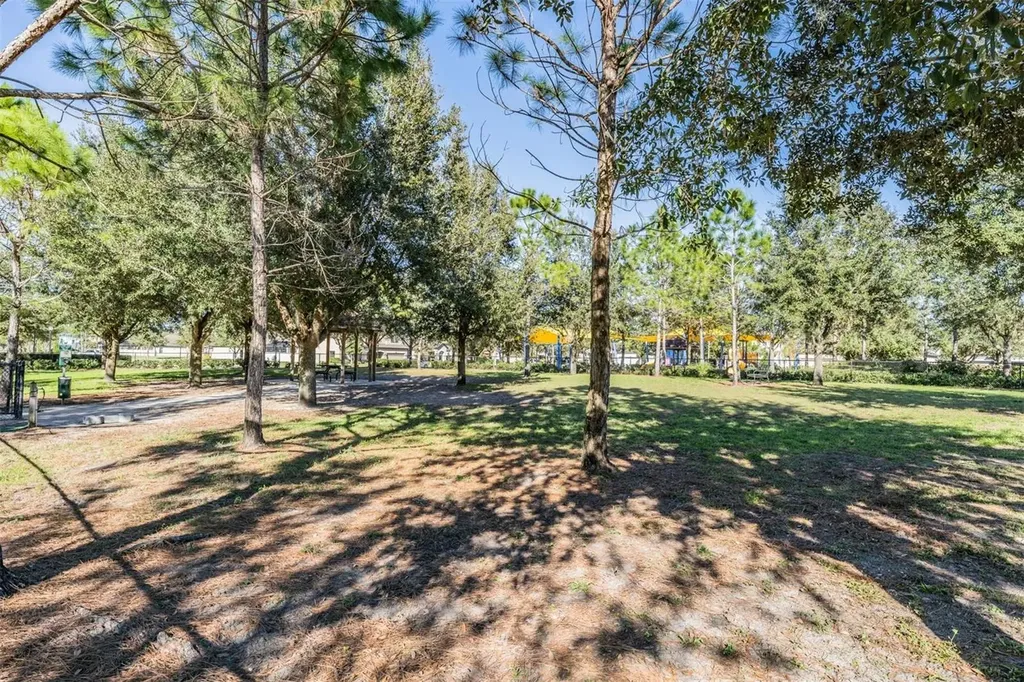 9661 Ashworth Place Land O Lakes FL 34637