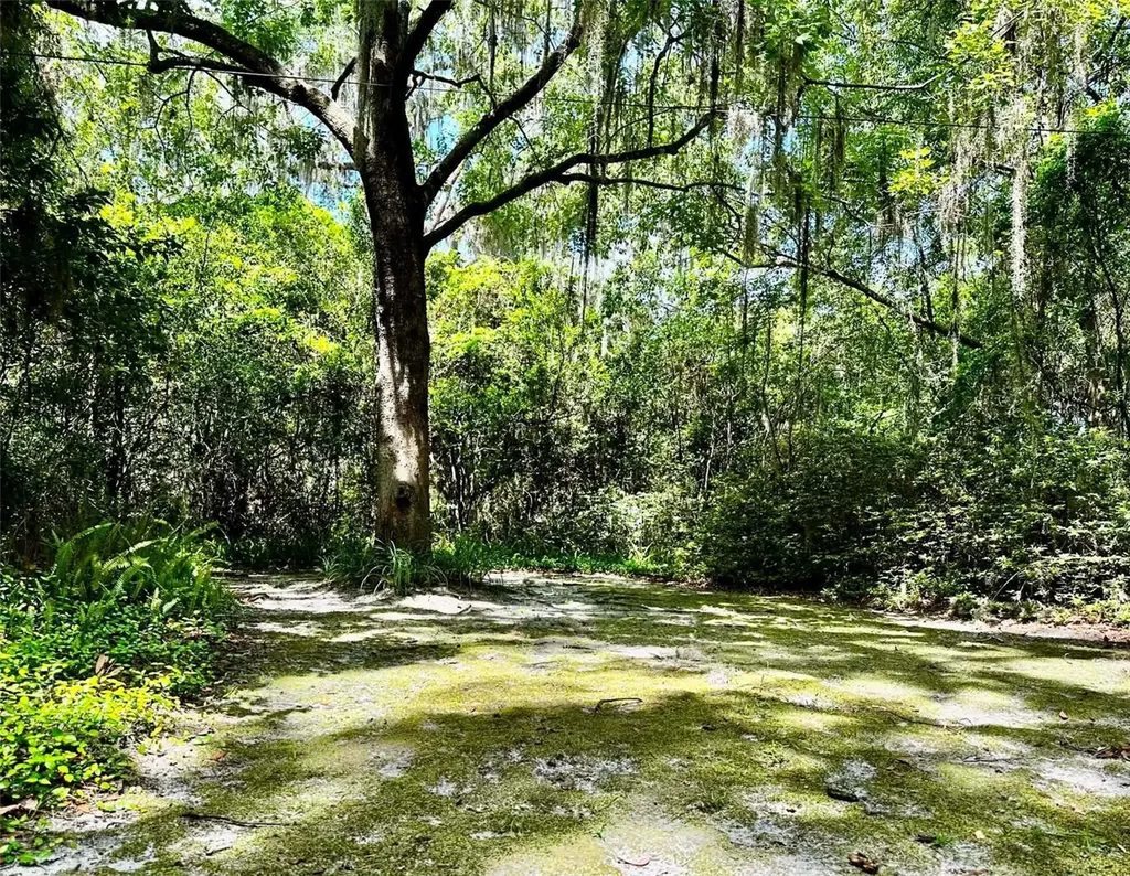 717 NE Boulevard Gainesville FL 32601