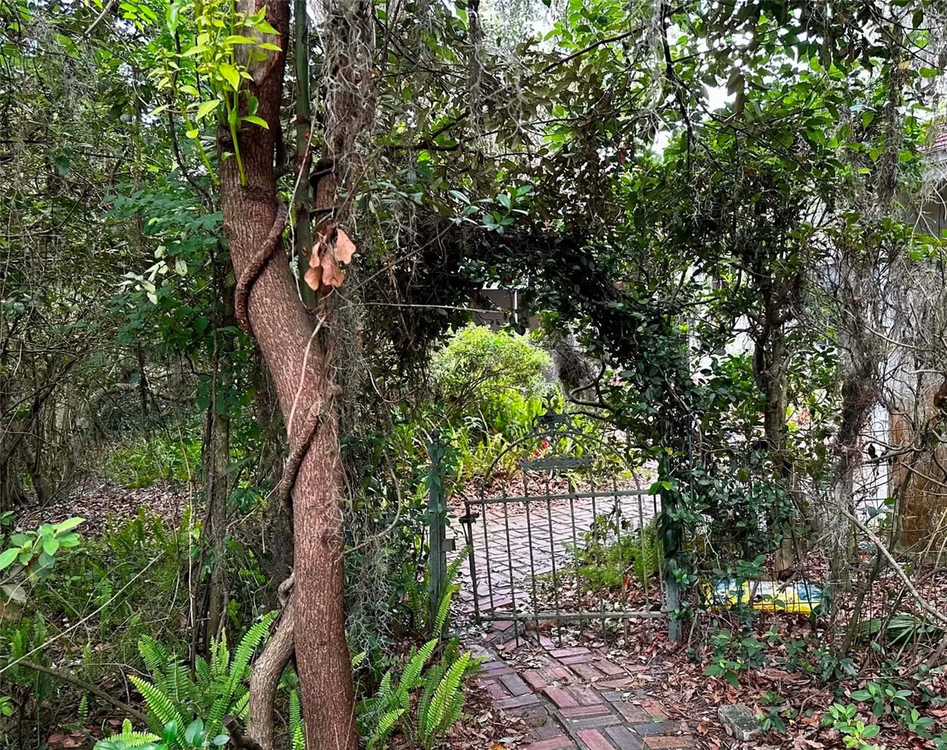 717 NE Boulevard Gainesville FL 32601