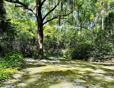 717 NE Boulevard Gainesville FL 32601