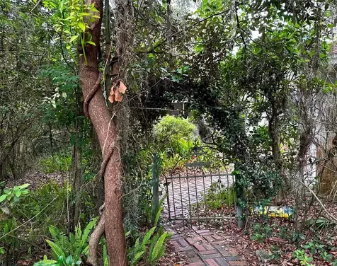 717 NE Boulevard Gainesville FL 32601