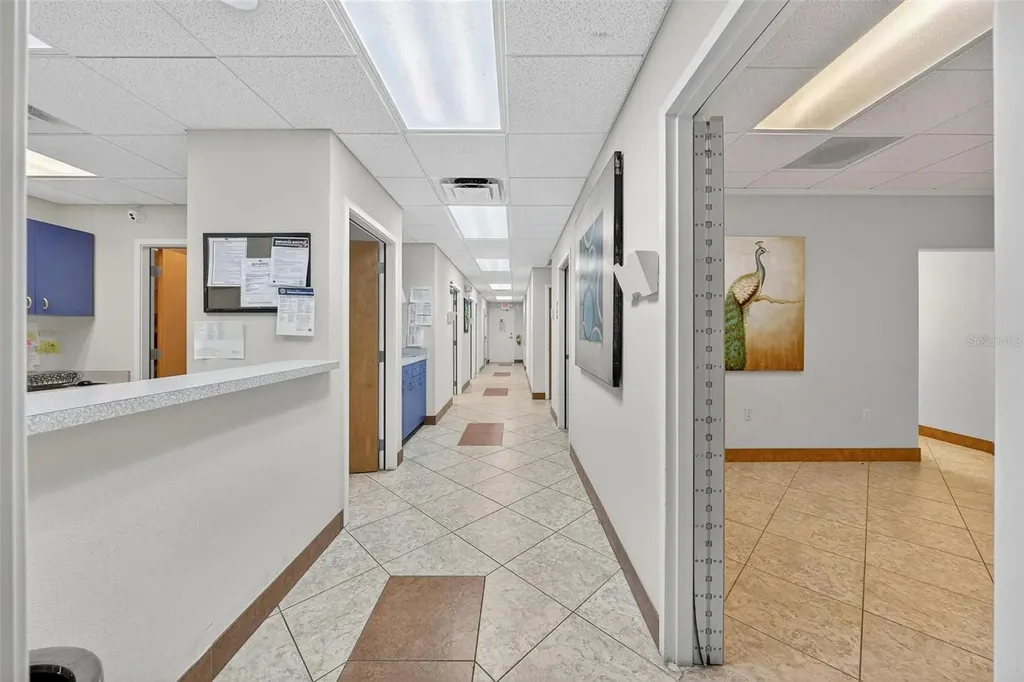 501 E North Boulevard Leesburg FL 34748