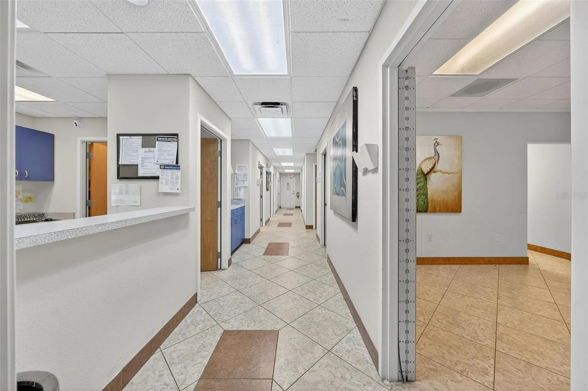 501 E North Boulevard Leesburg FL 34748