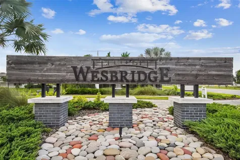 30191 Skylark Drive Wesley Chapel FL 33545