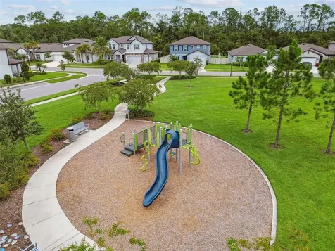 30191 Skylark Drive Wesley Chapel FL 33545