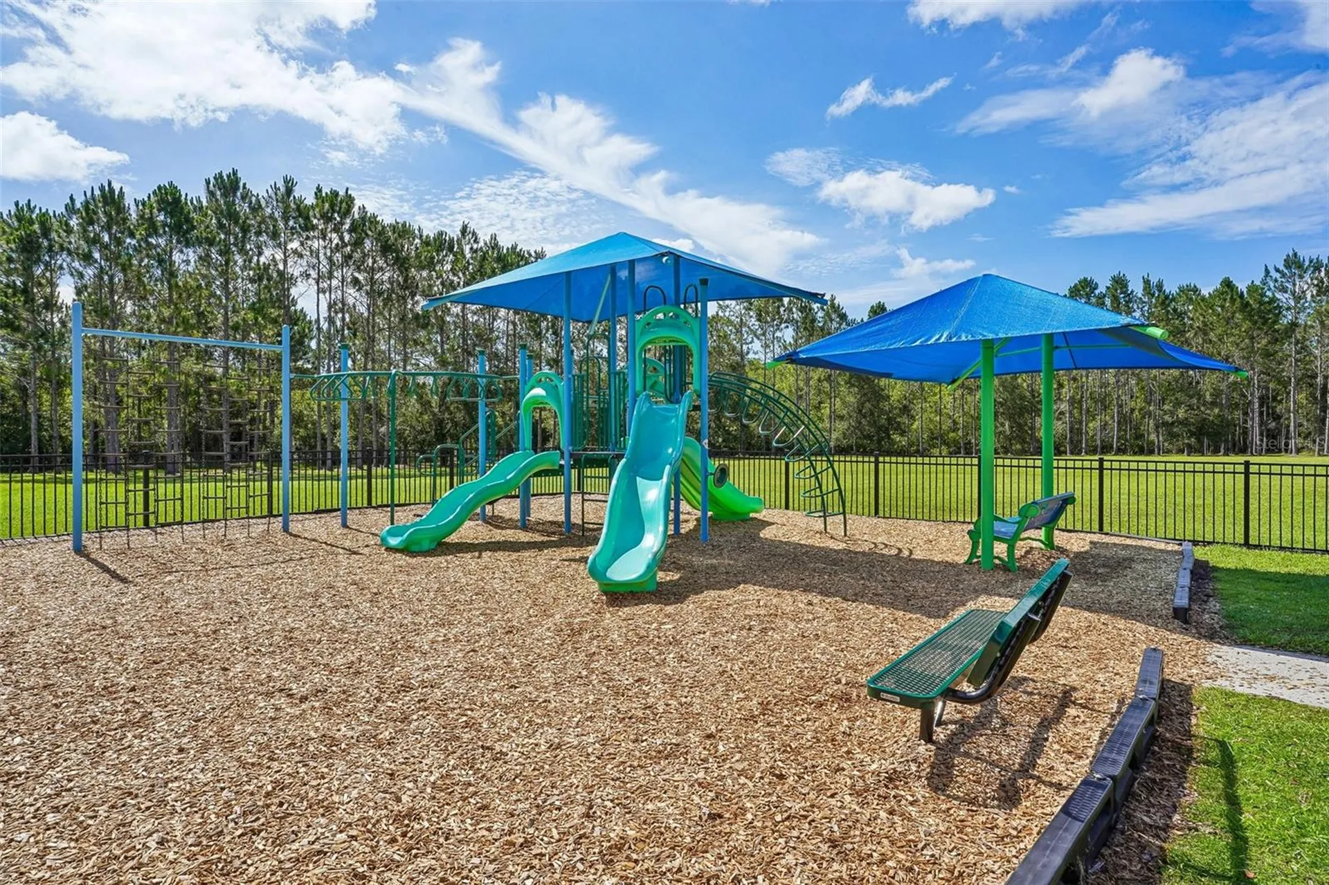 2331 Carnation Hill Court Orlando FL 32820