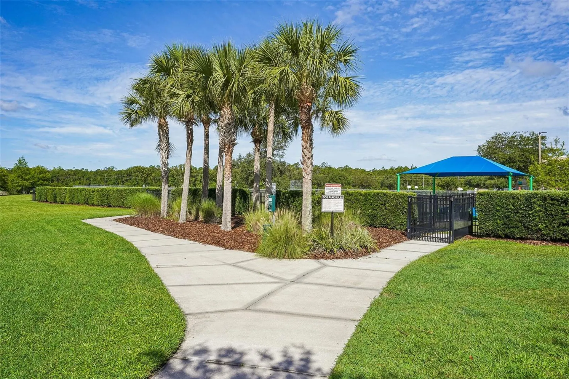 2331 Carnation Hill Court Orlando FL 32820