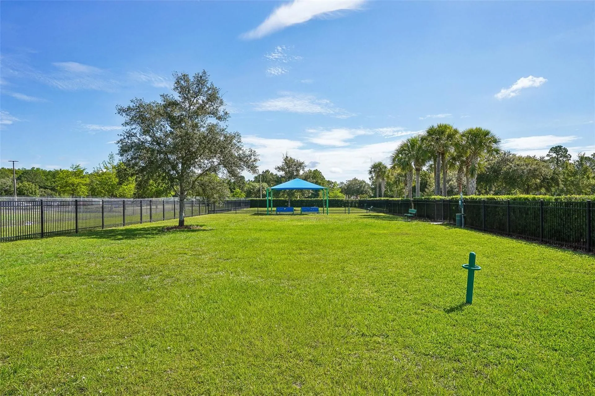 2331 Carnation Hill Court Orlando FL 32820