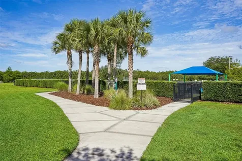 2331 Carnation Hill Court Orlando FL 32820