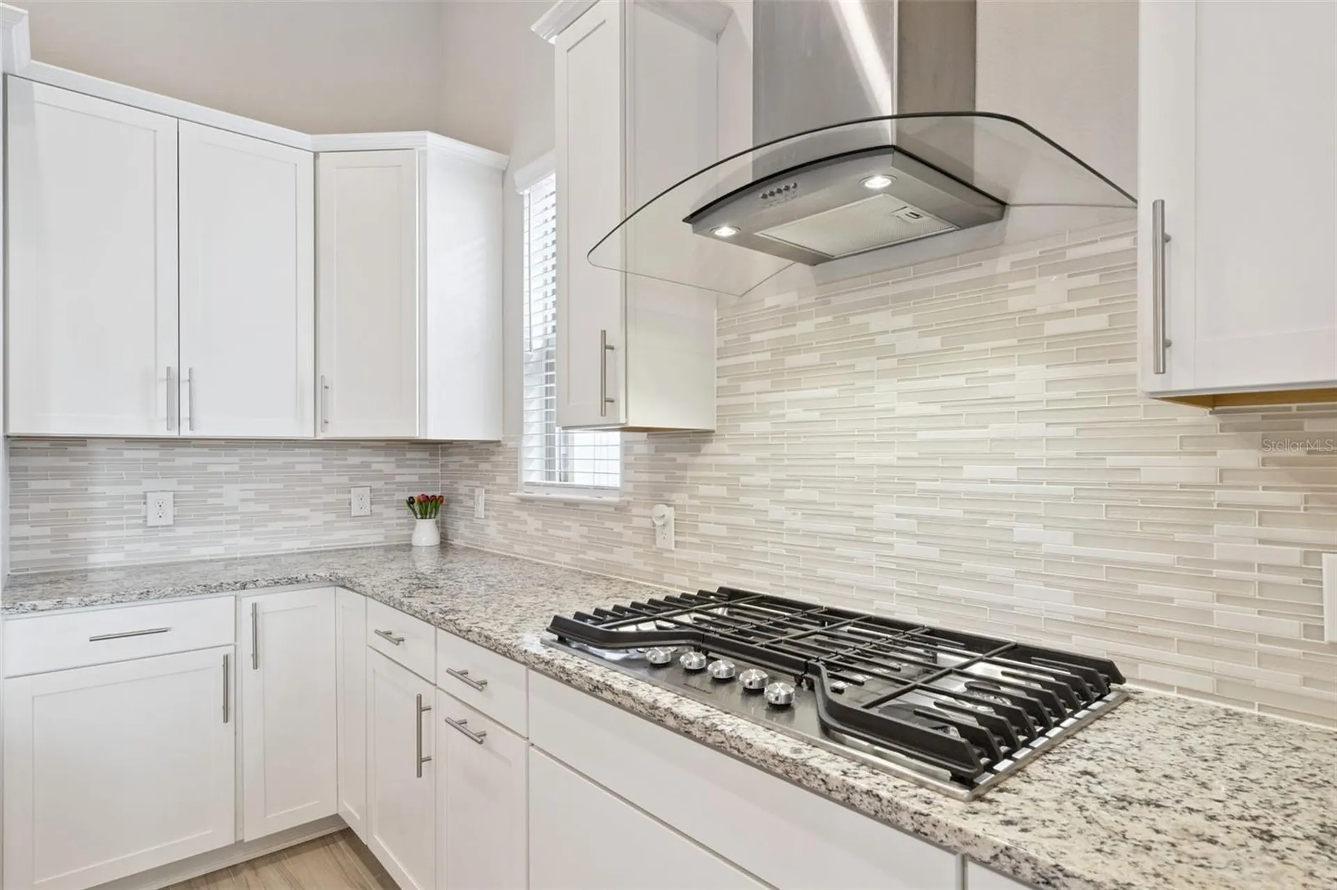 11509 Citrus Fields Place Orlando FL 32836