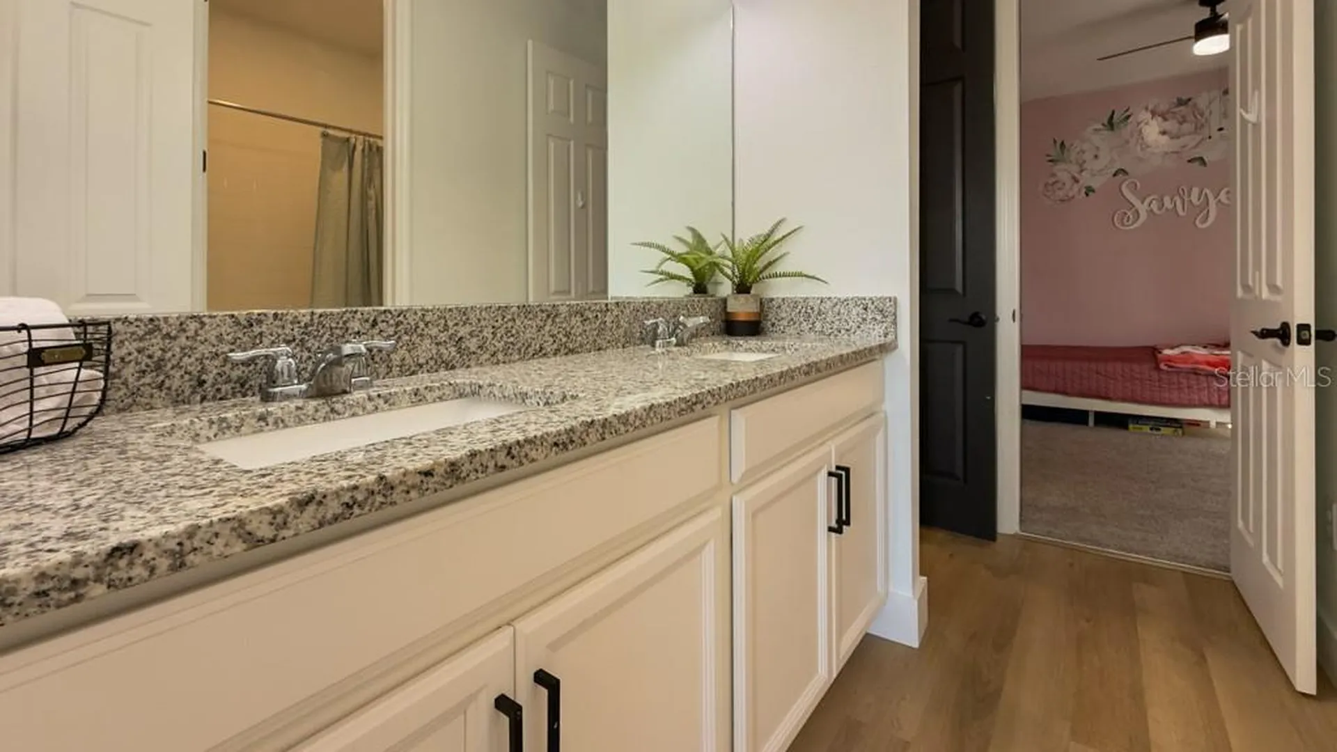 11924 Bahia Valley Drive Riverview FL 33579