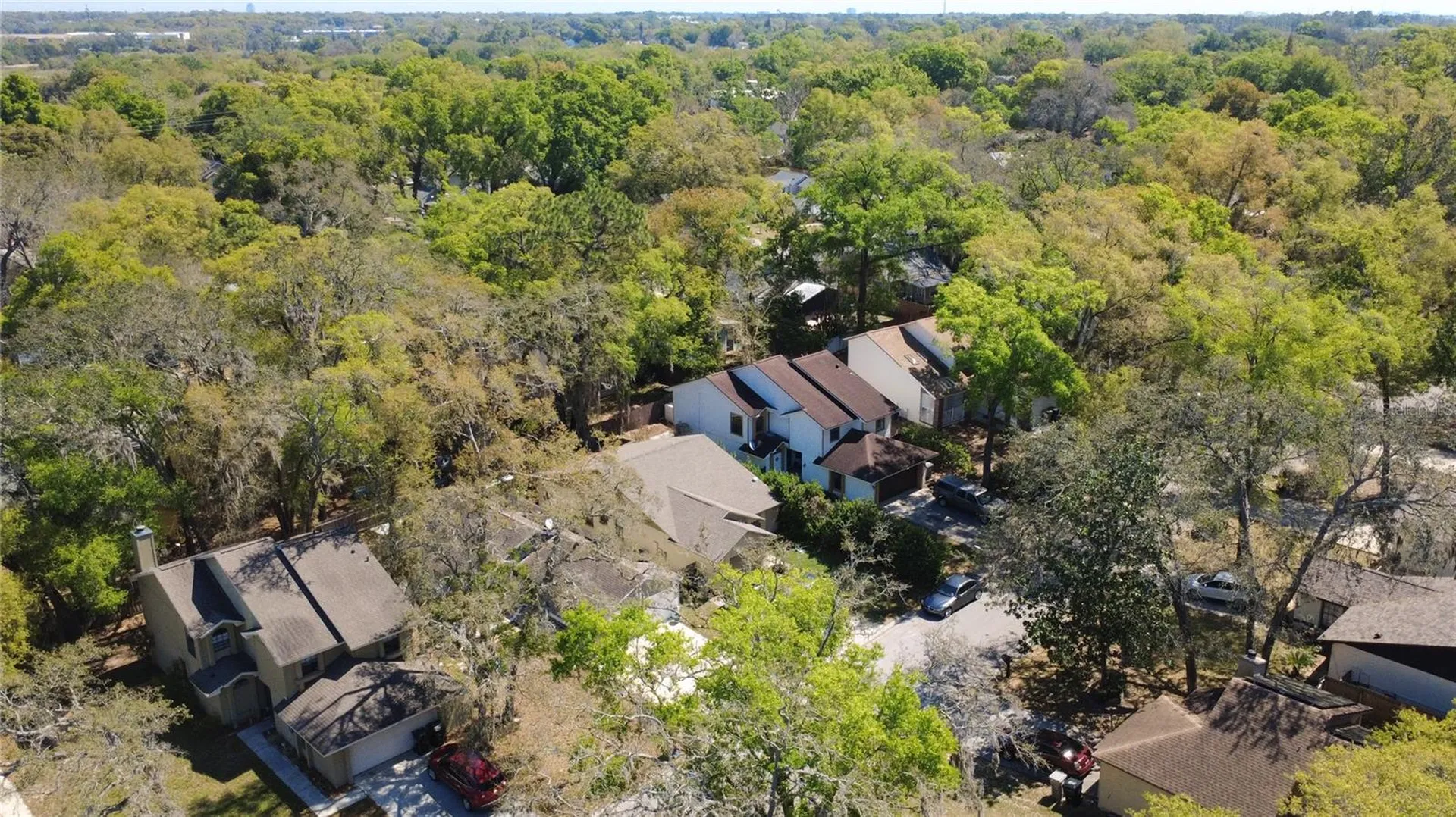 1777 Summit Chase Avenue Apopka FL 32703