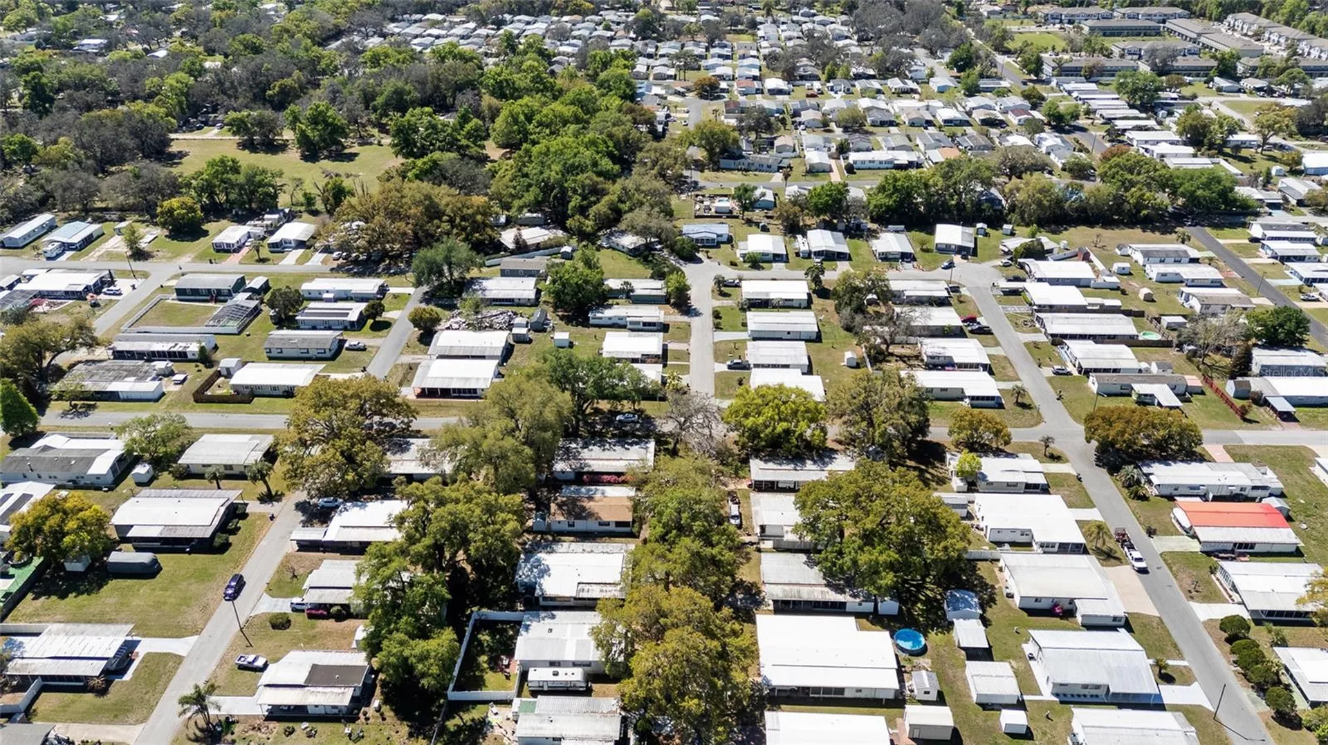 4550 Olive Drive Zephyrhills FL 33542