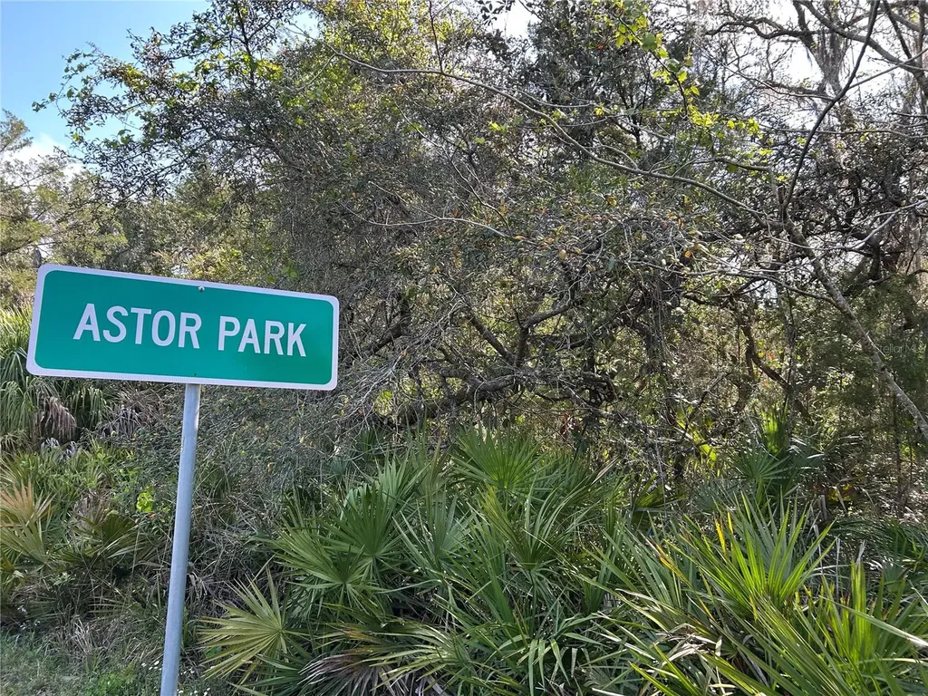 County Road 445a Astor FL 32102