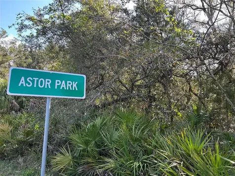 County Road 445a Astor FL 32102