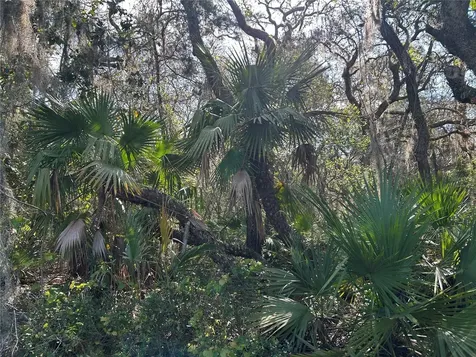 County Road 445a Astor FL 32102